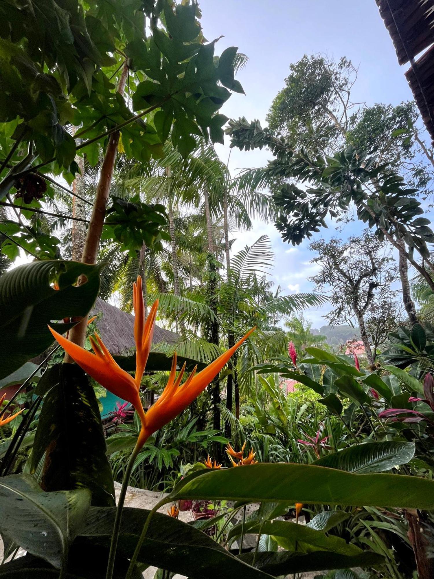 Hostel Zen - Casa Na Floresta Itacare Bagian luar foto